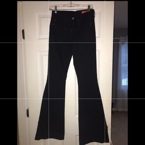 World Jean Shop Black Flare Jeans